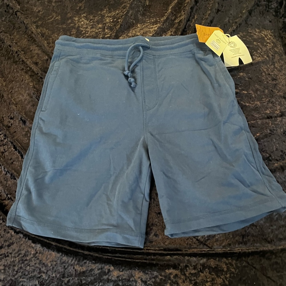 Men's Blue Shorts